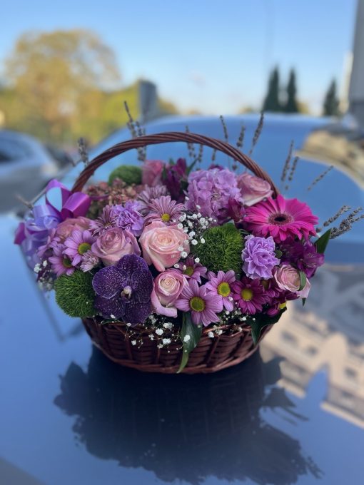 Colourful arrangement